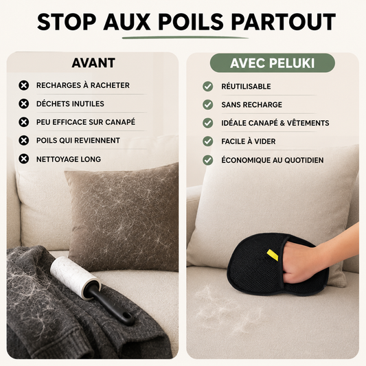 Brosse Anti-Poils Réutilisable