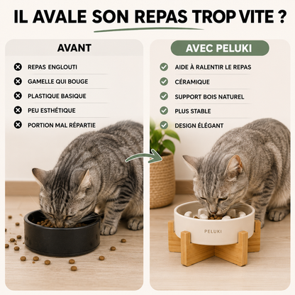 Gamelle Anti-Glouton Céramique Surélevée Chien Chat Design Naturel