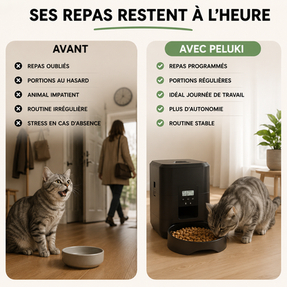 Distributeur de Croquettes  Automatique & Programmable